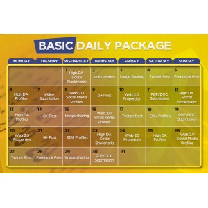 Daily SEO Basic Plan